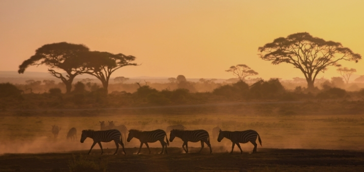 Africa