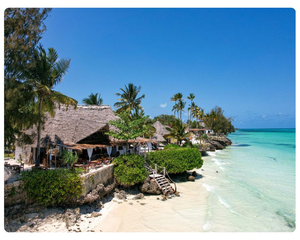 Zanzibar coast and dhow